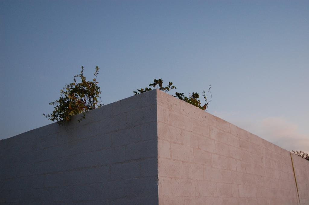 Bed and Breakfast Calcebianca Ostuni Exteriér fotografie